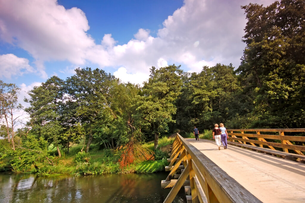10 Must-Visit Places In Sunderland For A Fun Day Out