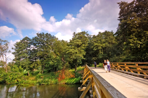 10 Must-Visit Places In Sunderland For A Fun Day Out